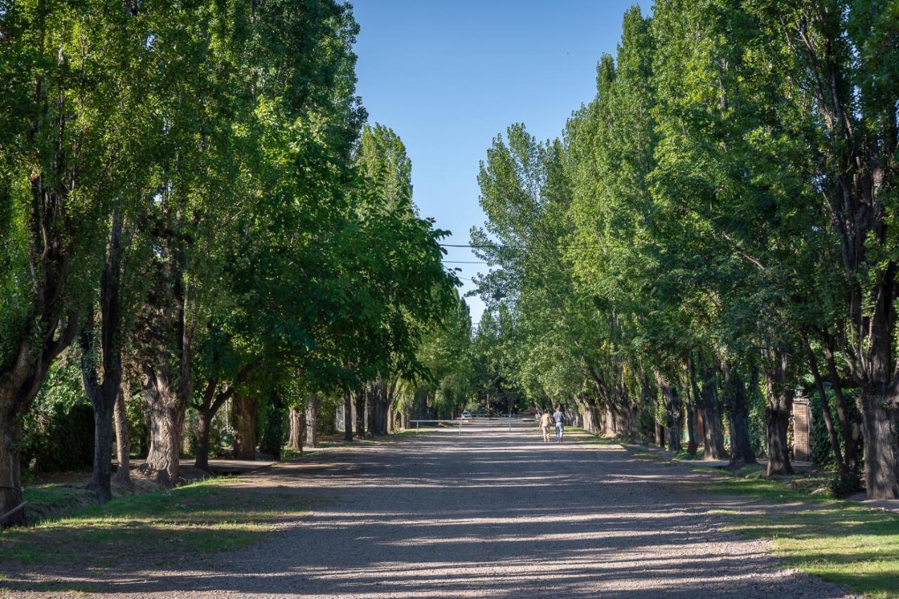 Alquiler Temp "Una Pausa" Barrio Privado En Vistalba Mendoza Buitenkant foto