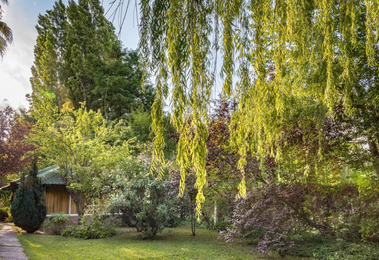 Alquiler Temp "Una Pausa" Barrio Privado En Vistalba Mendoza Buitenkant foto