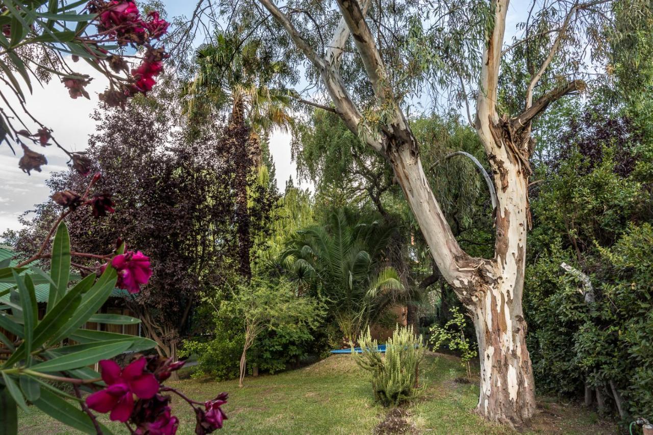 Alquiler Temp "Una Pausa" Barrio Privado En Vistalba Mendoza Buitenkant foto