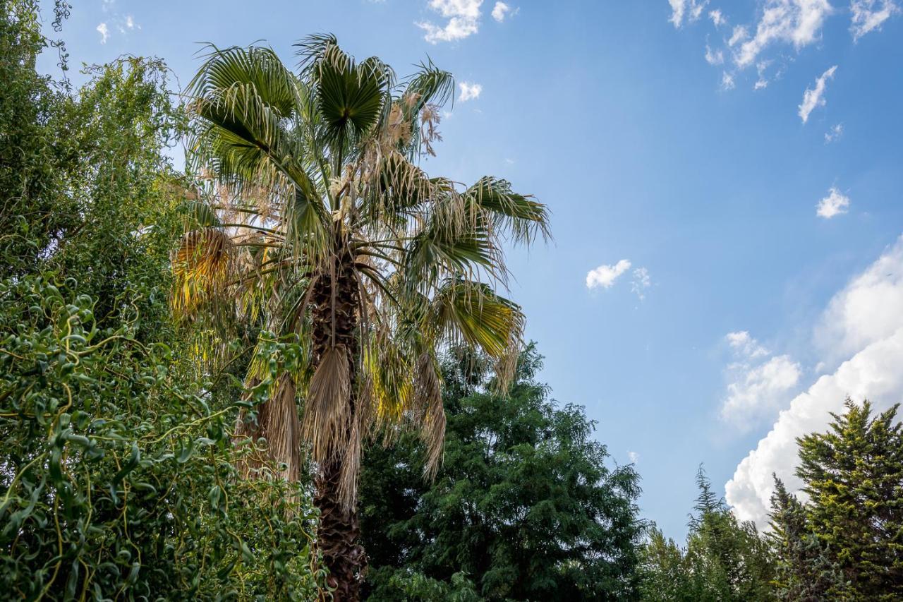 Alquiler Temp "Una Pausa" Barrio Privado En Vistalba Mendoza Buitenkant foto